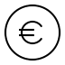 Euro Euro Icon